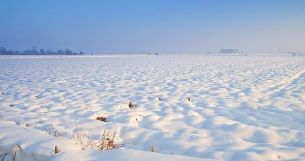 Paisagem de neve — Fotografia de Stock