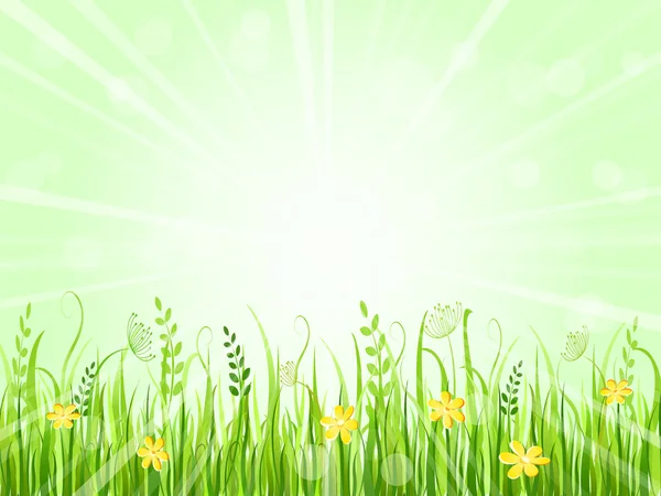 Όμορφο πράσινο λιβάδι — Διανυσματικό Αρχείο