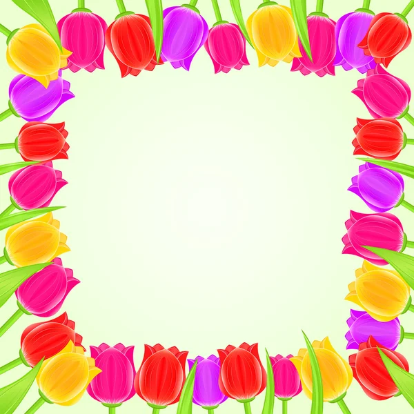Bright Colorful Tulip Square Frame — Stock Vector