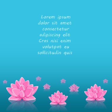 pembe Zambak çiçeği hala mavi su