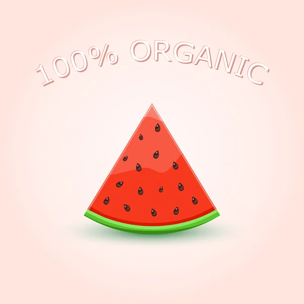 100% Organic Watermelon Slice - Stok Vektor