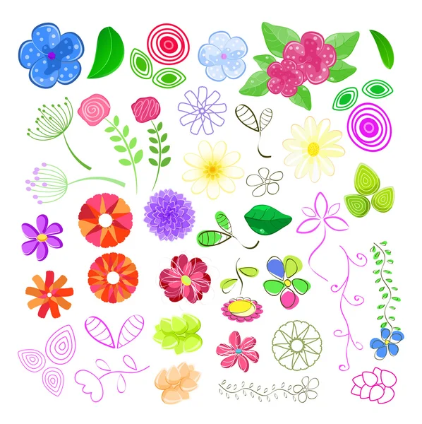 Conjunto de elementos florales — Archivo Imágenes Vectoriales