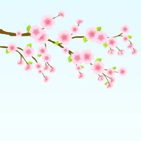 Cerezo Sakura Blossom — Vector de stock