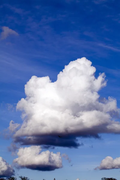 Beyaz düz dipli kümülüs bulutlar mavi gökyüzü — Stok fotoğraf