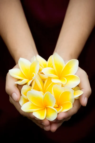 Gele tropische bloemen op handen — Stockfoto