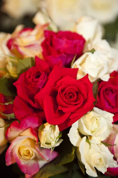 Bouquet Of Roses — Stock Photo, Image