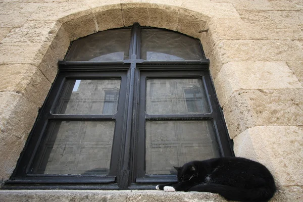 Chat noir dans la fenêtre — Photo