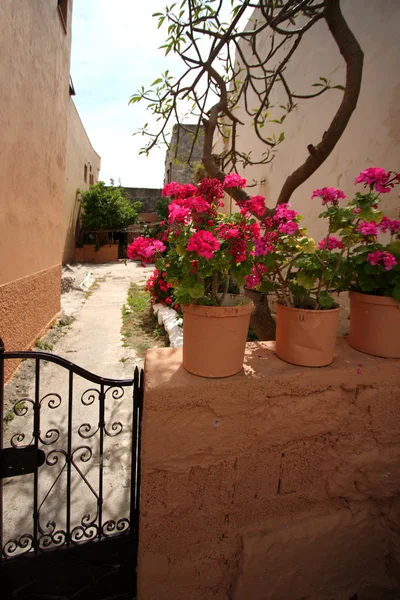 stock image Traditional greek houses in Rhodes