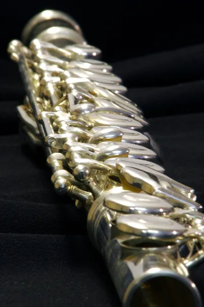 Flauta brillante — Foto de Stock