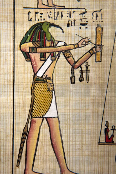 Egyptian Papyrus — Stock Photo, Image