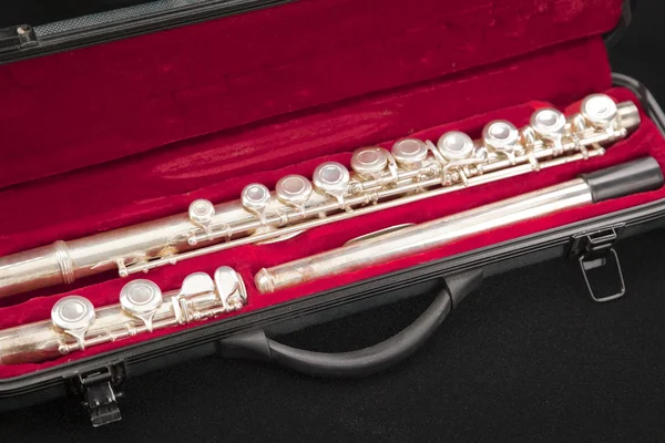 Flute In A Case — Stock Photo, Image