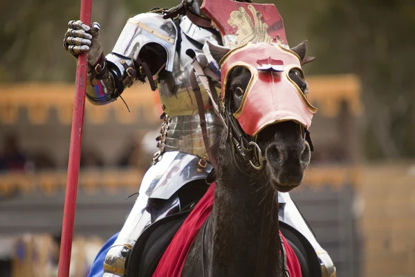 中世の騎士 — ストック写真