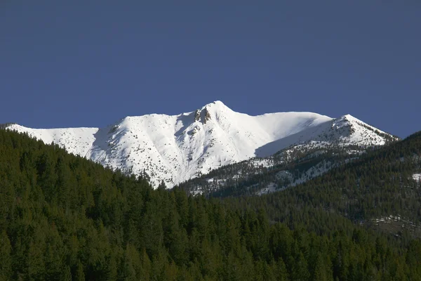 Invierno en las Montañas Rocosas —  Fotos de Stock