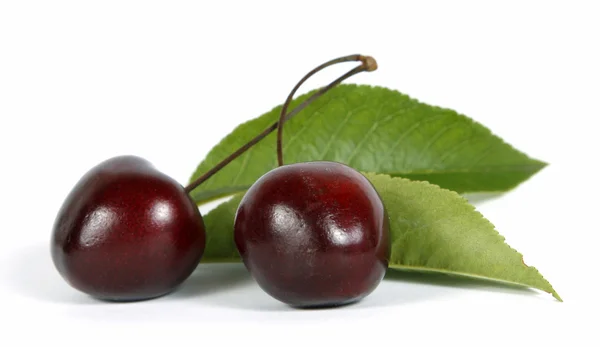 stock image Cherries