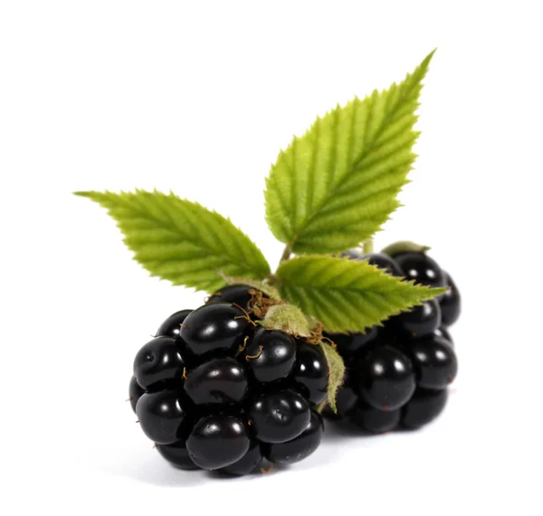 Blackberries — Stock Photo, Image