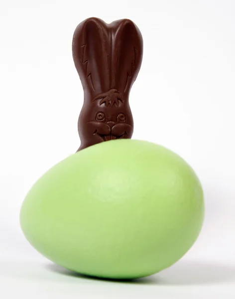 The Easter Bunny — Stock Photo, Image