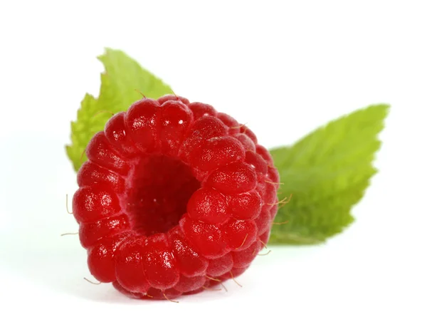 Raspberry — Stock Photo, Image