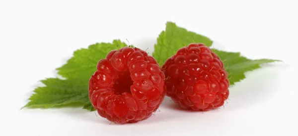 Raspberries Royalty Free Stock Images