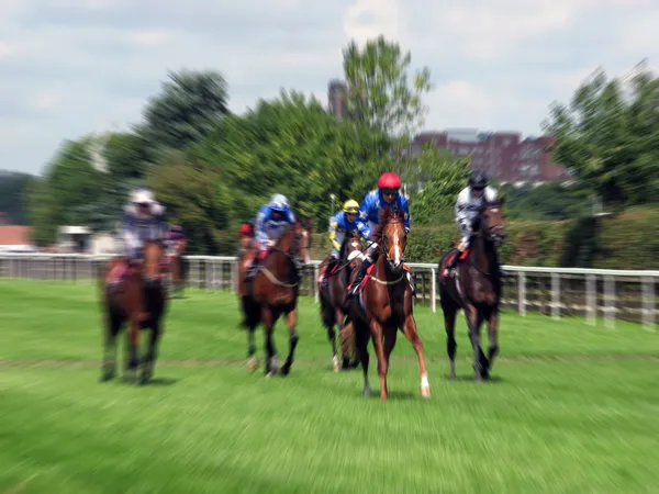 York hästkapplöpning — Stockfoto