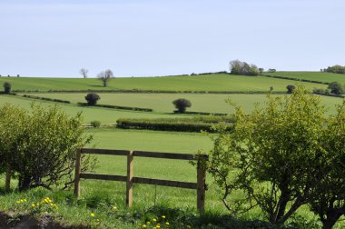 Yorkshire tarım arazisi