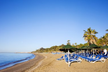 Sun Loungers on a Sandy Beach in Marbella clipart