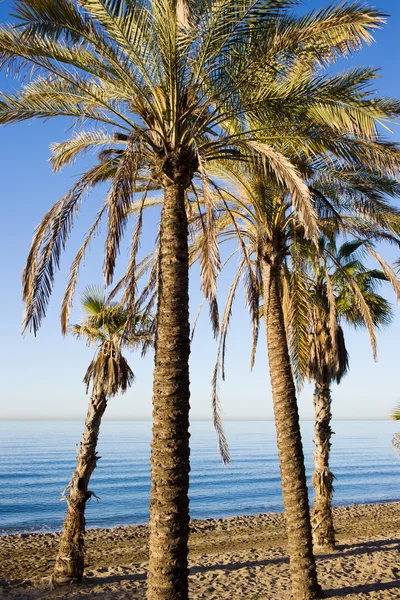 İspanya Marbella beach — Stok fotoğraf