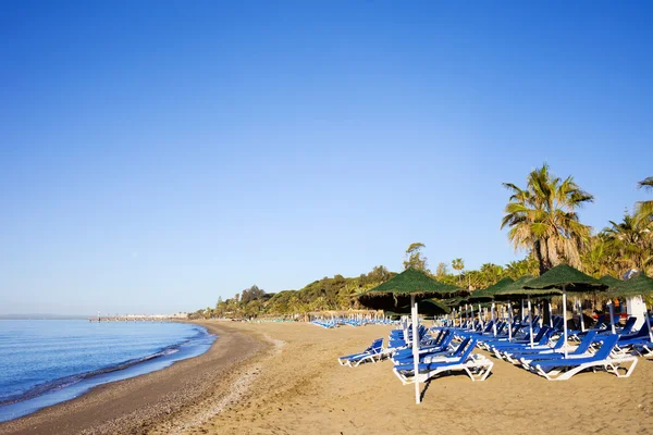 Sun Loungers on a Sandy Beach in Marbella — Stock Photo, Image