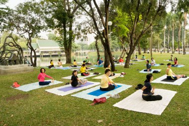 Group Yoga Practice in Park clipart