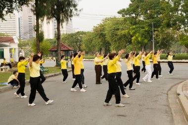 Tai Chi Practice in Park clipart