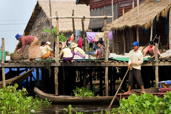 stock image Tonle Sap Village Life