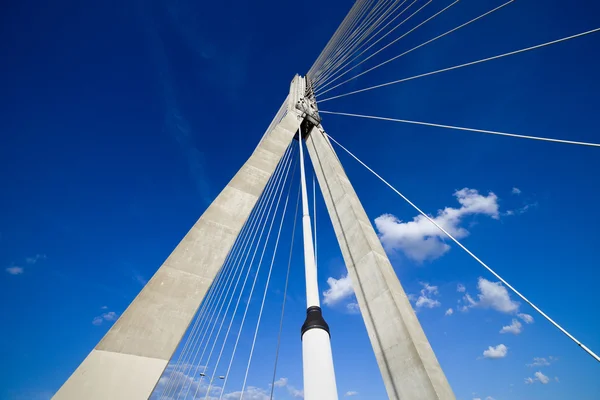 Suspension Bridge Contemporary Shape — Stock Photo, Image