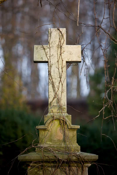 Croix de pierre tombale vintage — Photo
