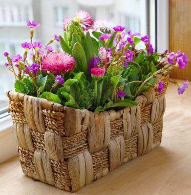 Seasonal flowering of balcony clipart