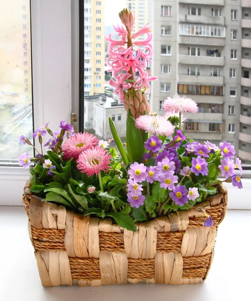 Säsongens blommande balkong — Stockfoto