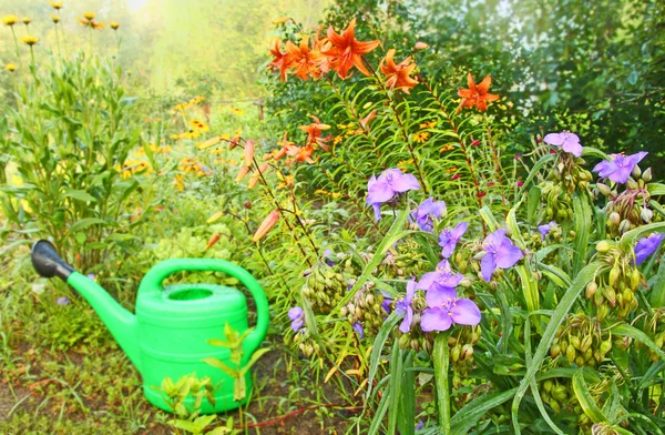 La regadera verde sobre el fondo el macizo de flores — Foto de Stock