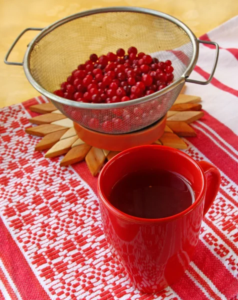 Temporada de cranberry — Fotografia de Stock