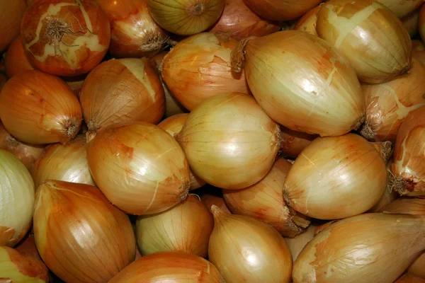 Onions — Stock Photo, Image