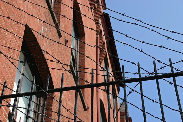 Barbed Wire — Stock Photo, Image