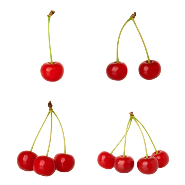 Sour cherries - one, two, three, four — Stock Photo, Image