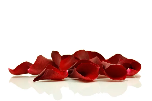 stock image Red rose petals isolated on white background