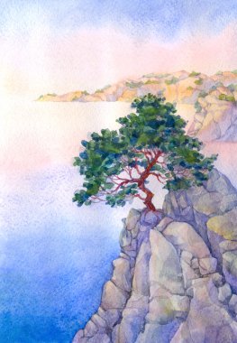 Pine on a high rocky cliff above the sea clipart