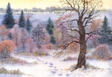 Watercolor landscape. Oak in the woods in winter the valley clipart