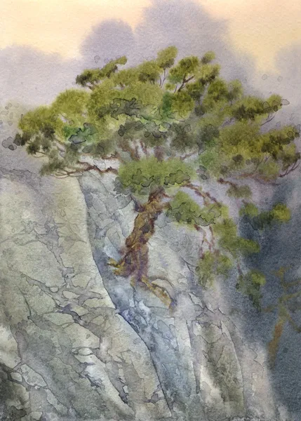 Watercolor landscape. Pine among cliffs — Stock Photo, Image