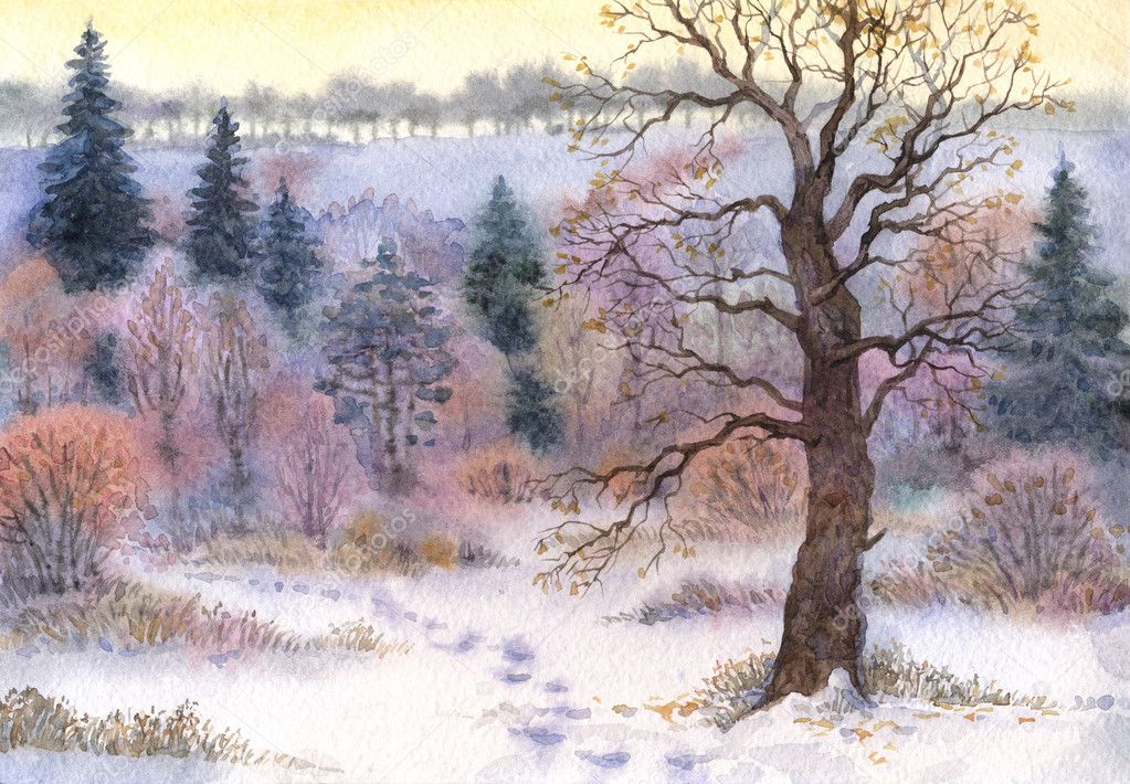 Watercolor landscape. Oak in the woods in winter the valley