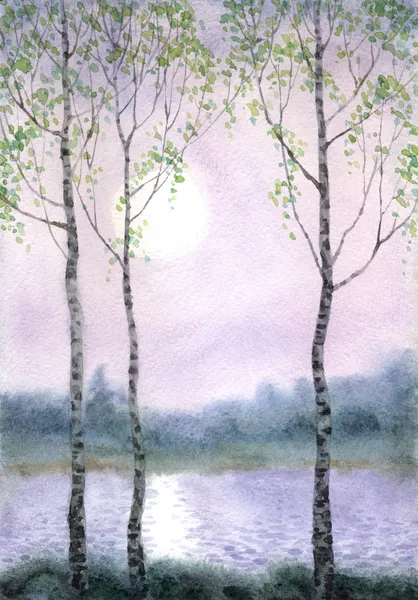 Акварельний пейзаж. Березові дерева в тихий туманний ранок на річці — стокове фото