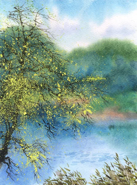 Akvarel krajiny. strom na jaře přes rybník — Stock fotografie