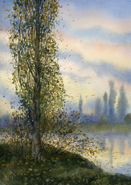 Paesaggio acquerello. Pioppo sul lago estivo — Foto Stock