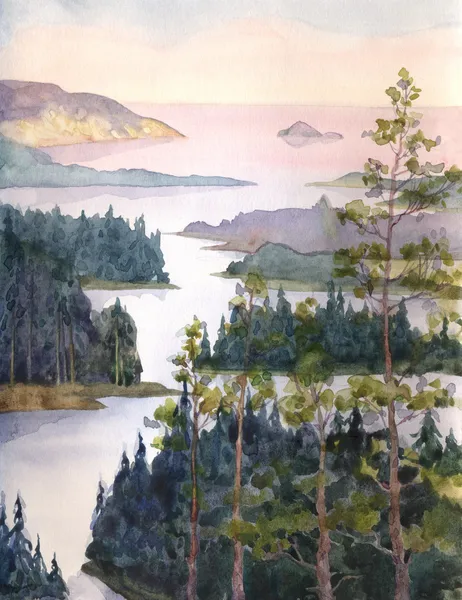 Akvarel krajiny. řeka tekoucí mezi smrkového lesa — Stock fotografie