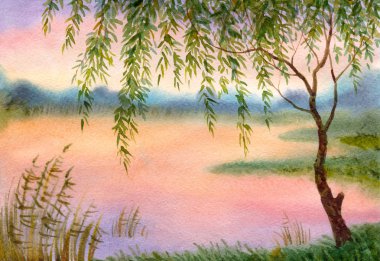 Willow by the lake clipart