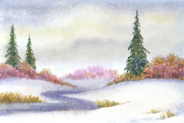 Высокая ель возле ручья в снежном поле — стоковое фото